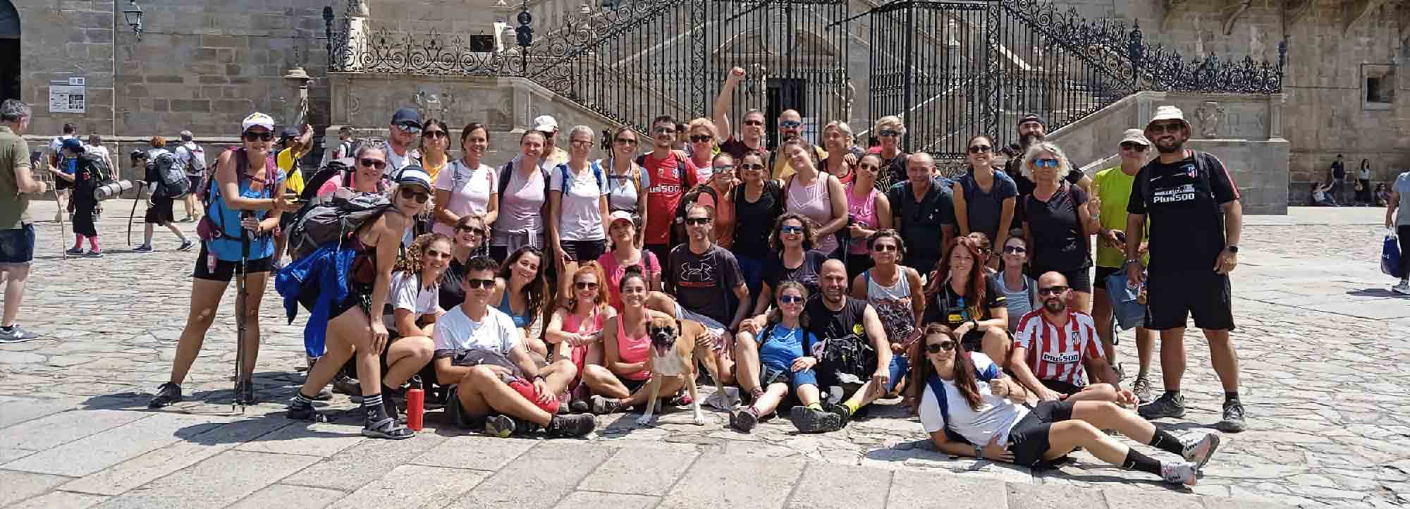 Camino de Santiago organizado