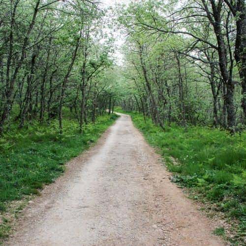 Camino de Santiago Francés