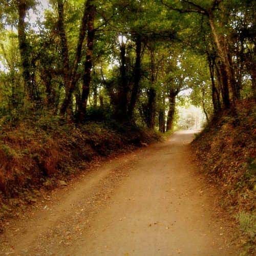 Camino de Santiago Francés
