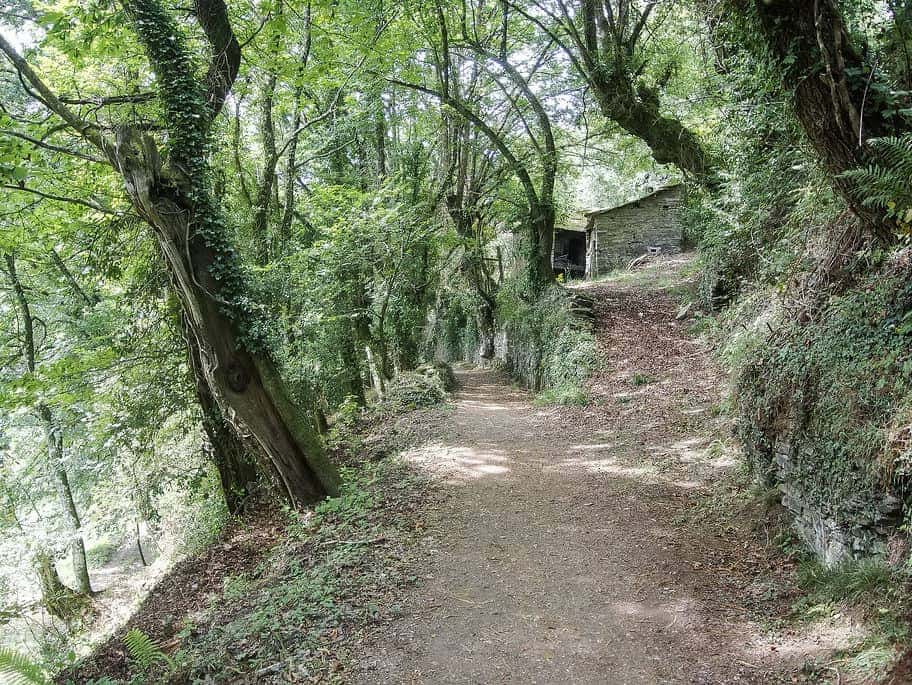 Camino de Santiago French