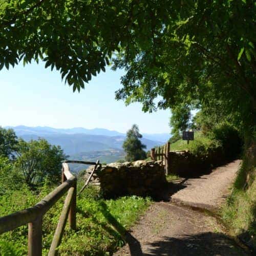 Camino de Santiago Primitivo