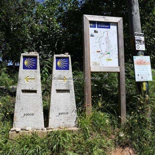Camino de Santiago Portugés