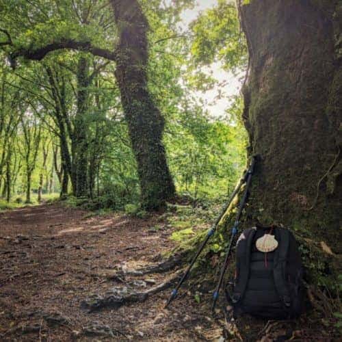 Camino de Santiago Portugés