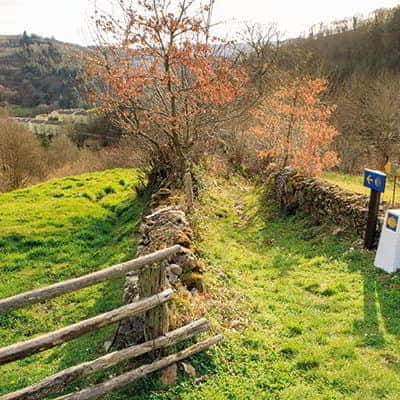 Camino de Santiago Primitivo