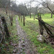 Camino de Santiago Primitivo
