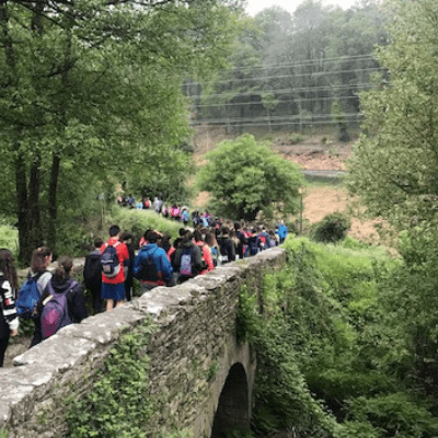 Camino de Santiago organizado