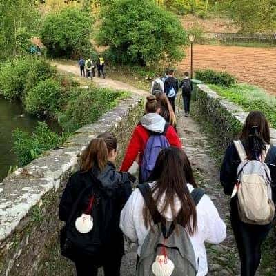 Camino de Santiago organizado