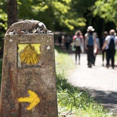 Camino de Santiago organizado