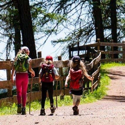 Camino de Santiago organizado