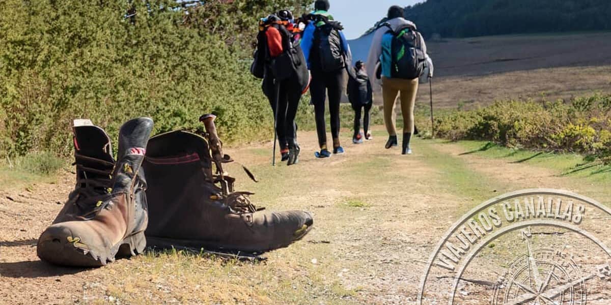 travellerscanallas-post-2886-p Reasons to do the Camino de Santiago 2023