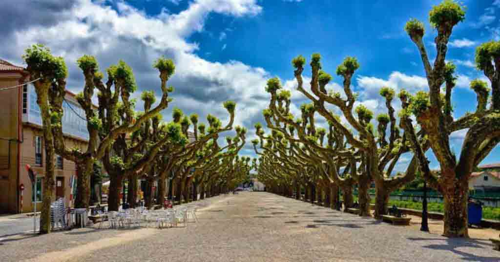 stages-of-the-santiago-portuguese-path-5 stages of the Portuguese Way of Saint James 5