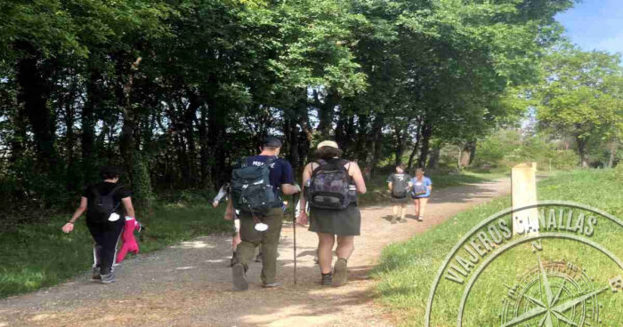 Camino de Santiago for schoolchildren