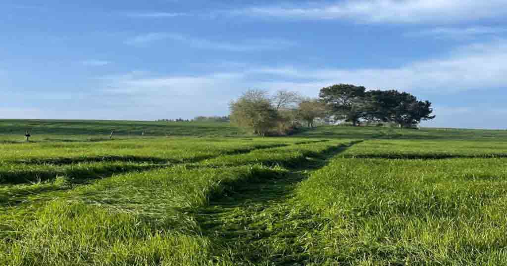 mejor-epoca-camino-santiago-verano La mejor época para hacer el Camino de Santiago