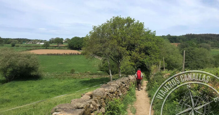 Going alone on the Camino de Santiago