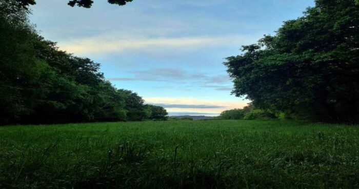 Doing the Camino de Santiago in June