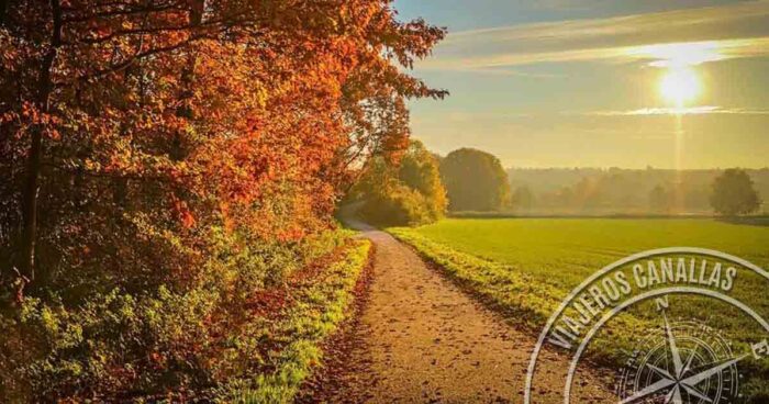 The Way of Saint James in September