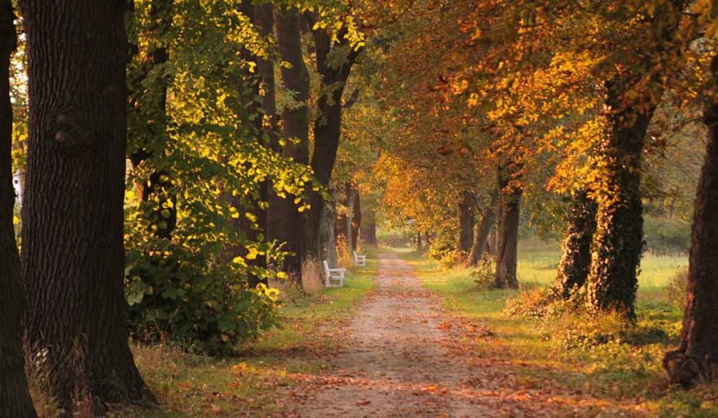 el-camino-de-santiago-en-el-mes-de-septiembre El Camino de Santiago en el mes de septiembre