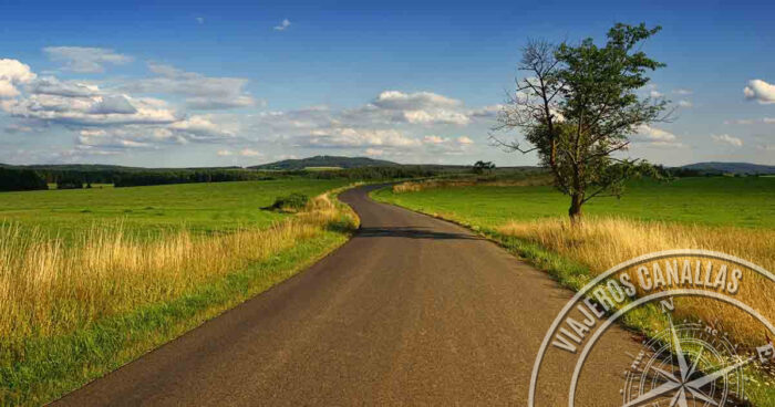 The colours of summer on the Camino de Santiago