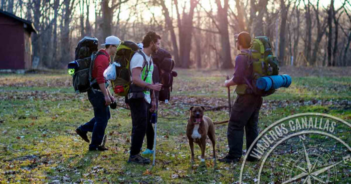 The Way of Saint James with dogs and the canine Compostela