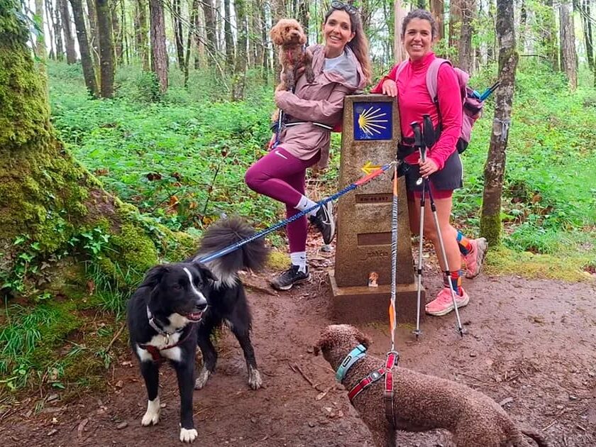 Camino de Santiago with dog