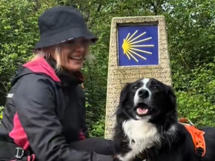 Camino de Santiago with dog