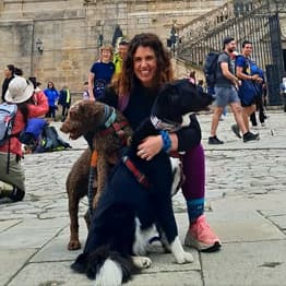Camino de Santiago with dog