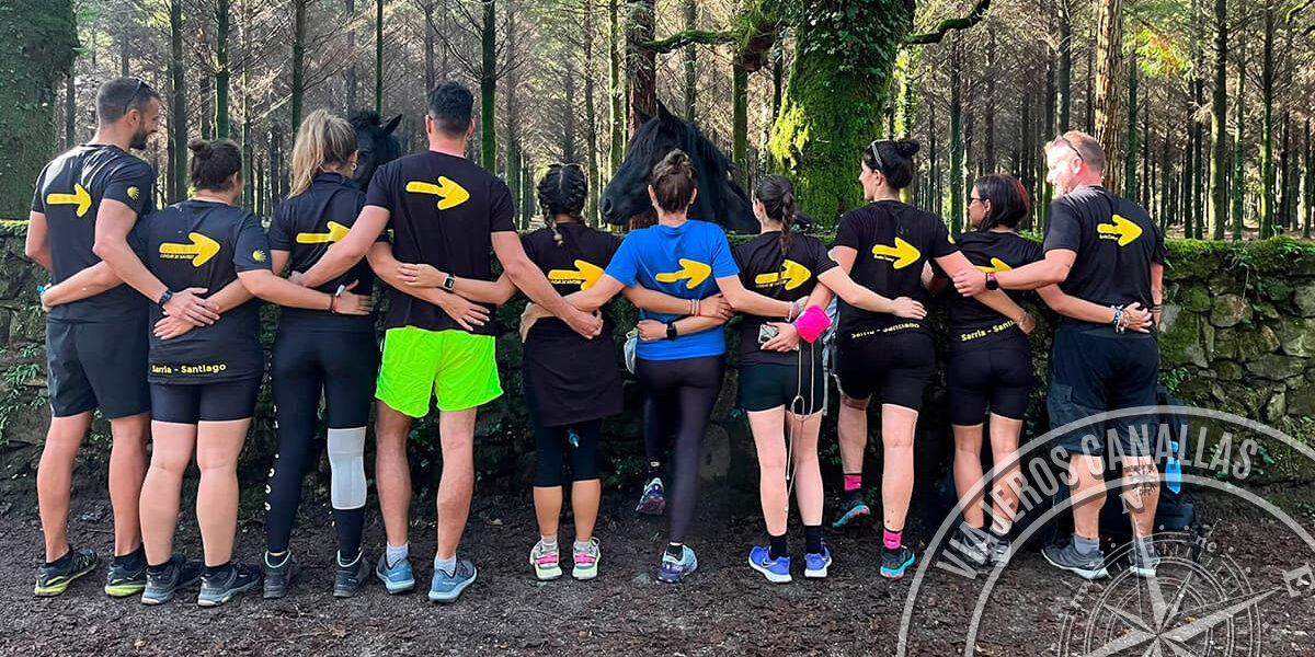 travellerscanallas-5149 What do the symbols of the Camino de Santiago mean?