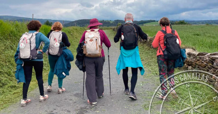 Hay chinches en los albergues