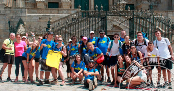 7 consejos para hacer el Camino de Santiago con perro