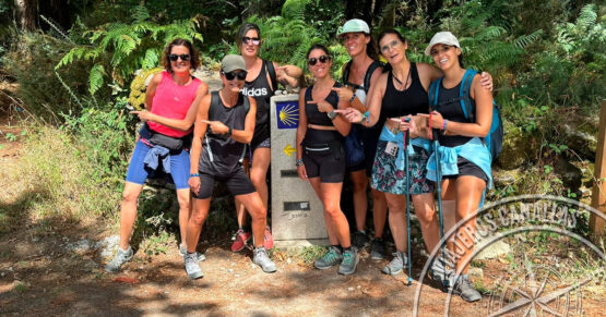 Por qué las flechas amarillas se convirtieron en símbolo del Camino